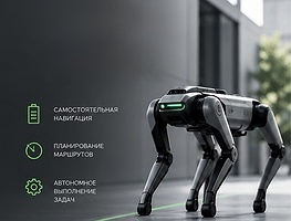 Автономная работа